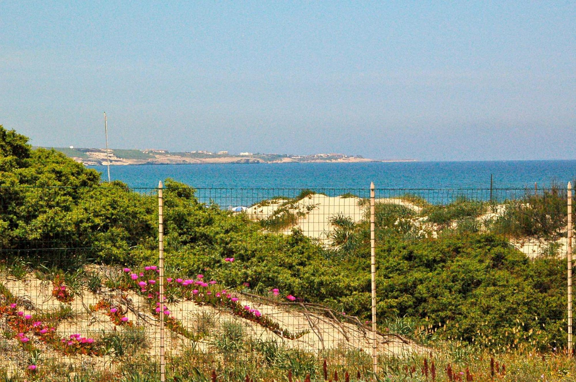 פלטמונה Camping Golfo Dell'Asinara מראה חיצוני תמונה