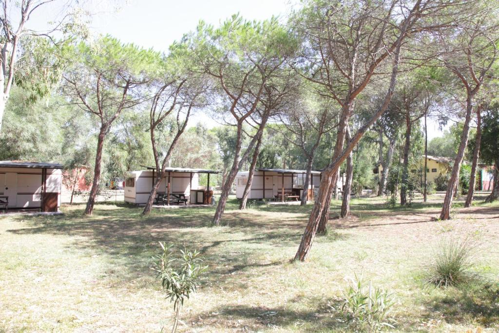 פלטמונה Camping Golfo Dell'Asinara חדר תמונה