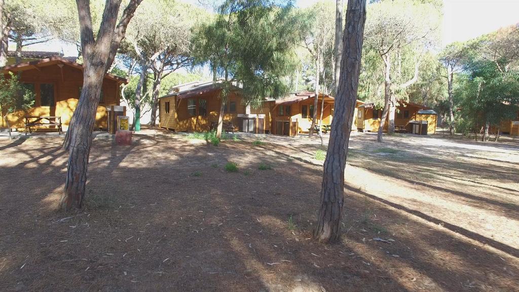 פלטמונה Camping Golfo Dell'Asinara מראה חיצוני תמונה